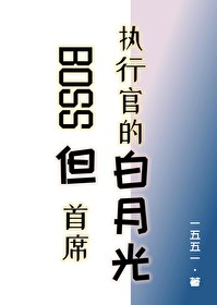 首席boss的圈套