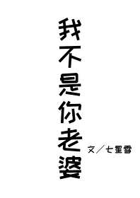 我不是你老婆英语