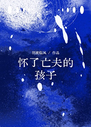 怀了亡夫的孩子羽漱临风