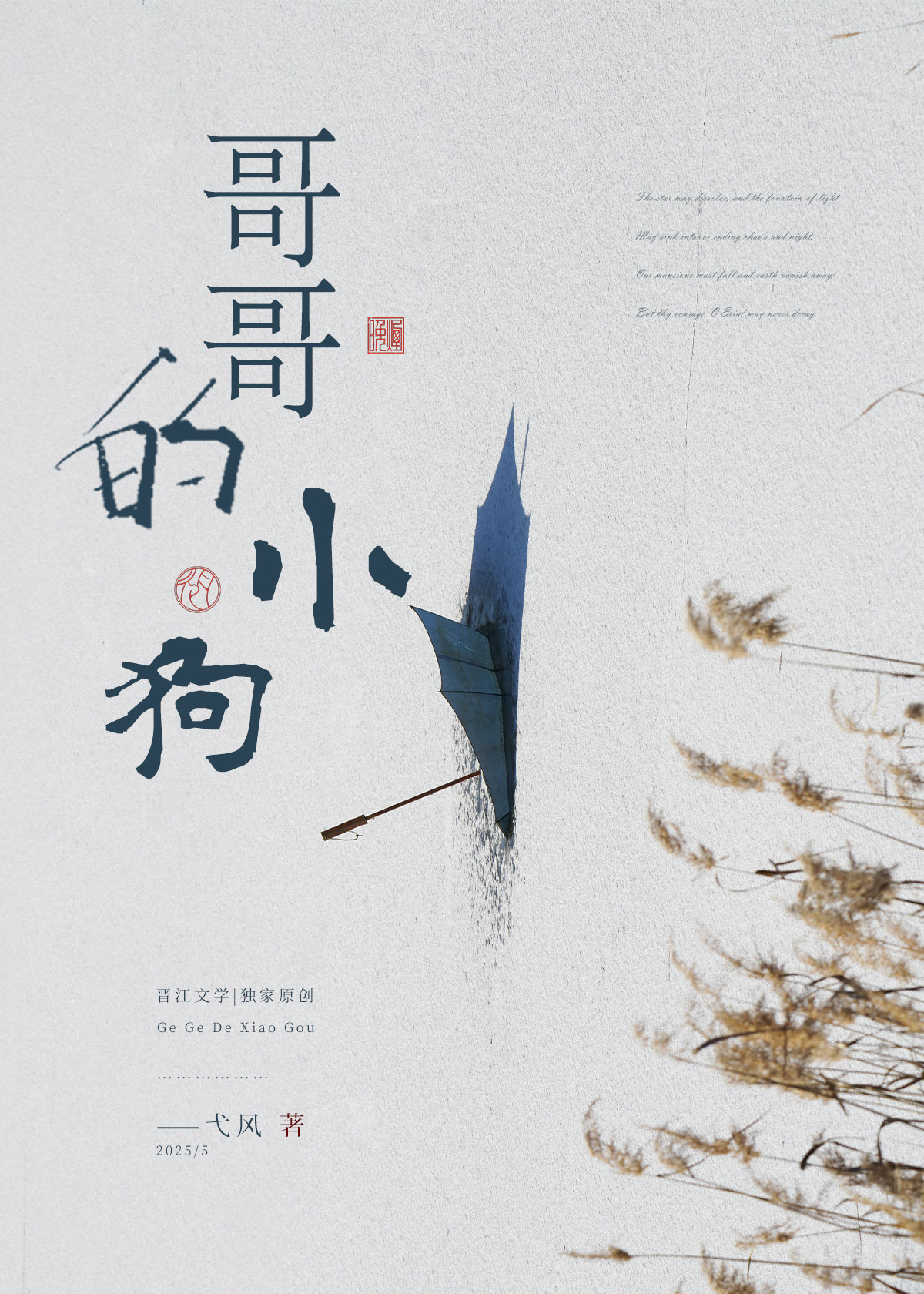 哥哥的小狗小说阅读