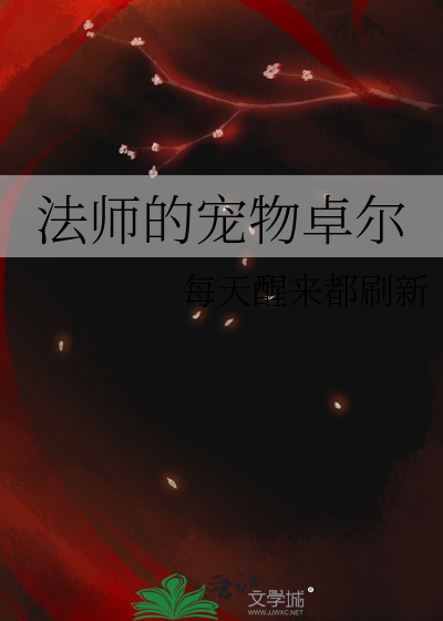 桃花师法师宠物推荐