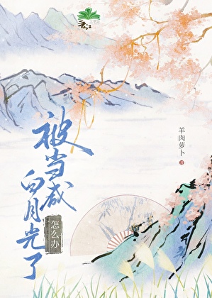 拐个太傅进皇宫