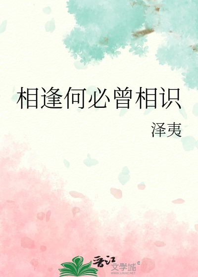相逢何必曾相识 歌词