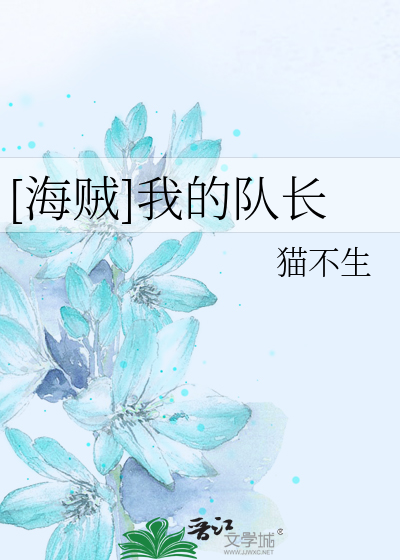 我的队长百度云
