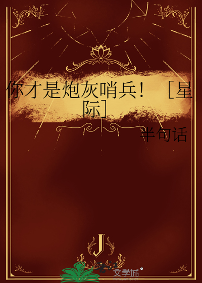 你才是炮灰哨兵小说