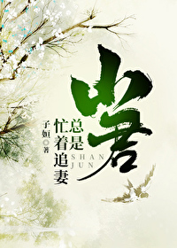 山君总是忙着追妻子姮网盘