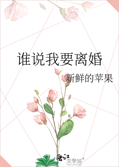 谁说我要离婚-娆小八