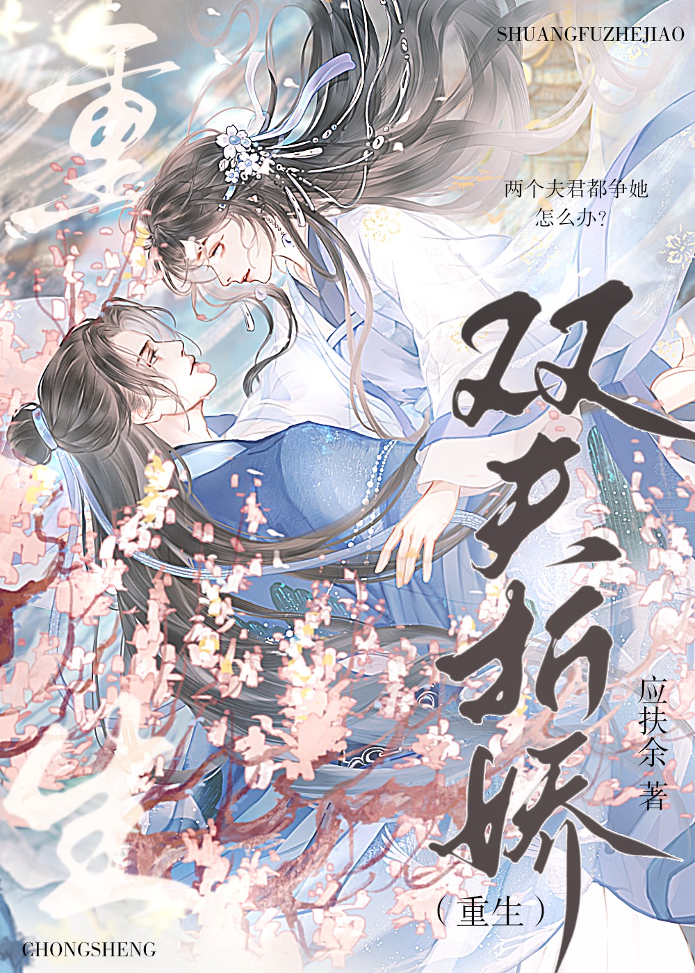 双夫完整阅读