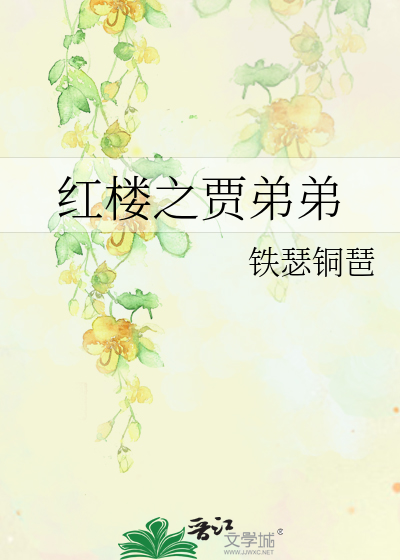 红楼之贾哥哥