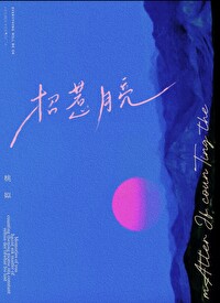招惹月亮小说免费阅读