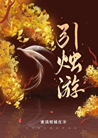 引烛游小说百度网盘
