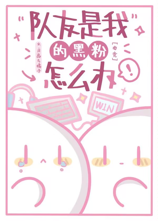 队友是啥