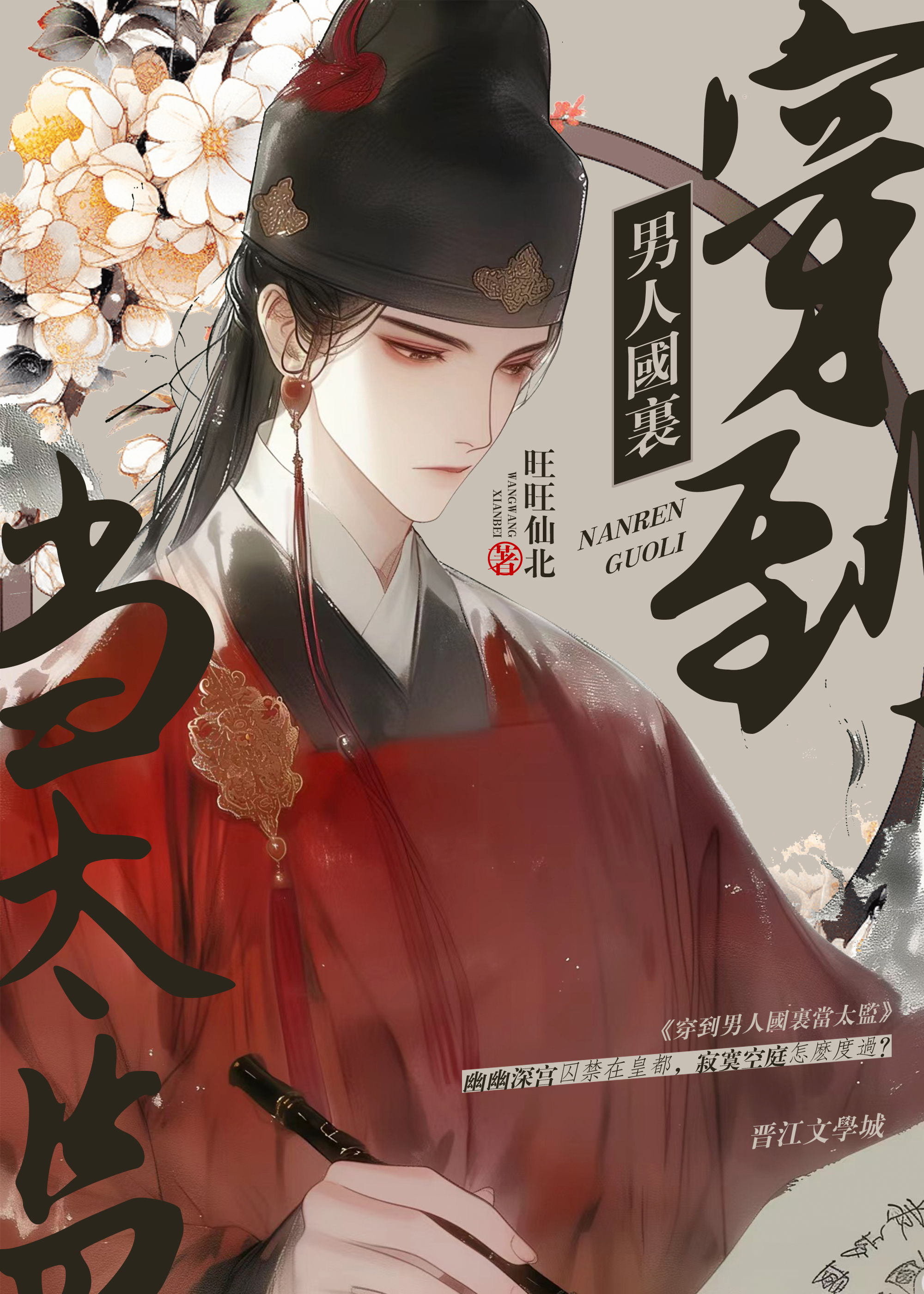 穿越到男人国的小说