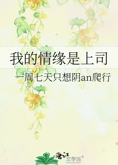 我的情缘是上司小说