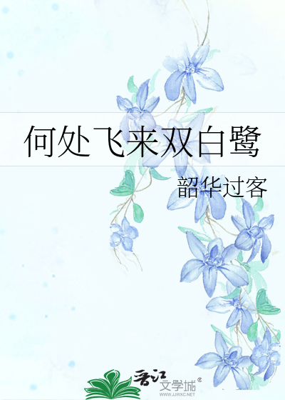 何处飞来双白鹭什么意思