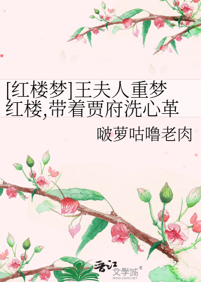 红楼梦王夫人番外