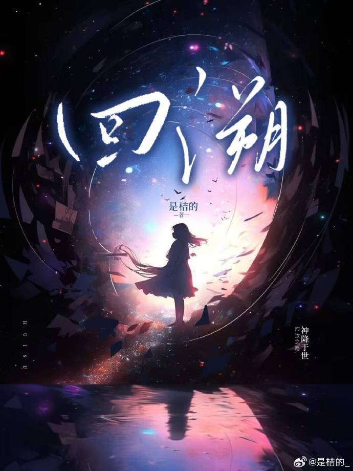 回溯2009小说