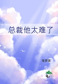 炮灰总裁的男妻全文免费阅读