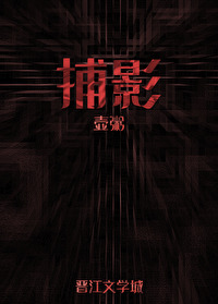 捕影捉风