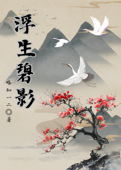浮生梦之碧落写了什么