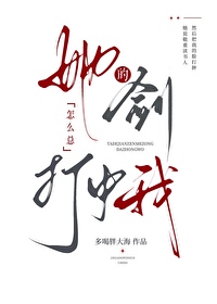 他的剑歌词