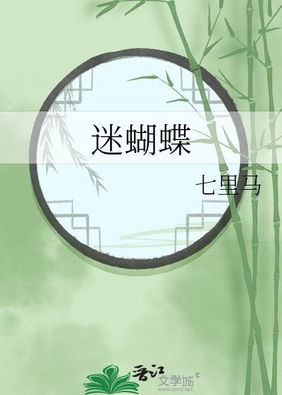 迷蝴蝶讲的什么