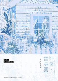 最佳替身小说