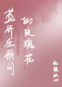 玫瑰盛开在心房