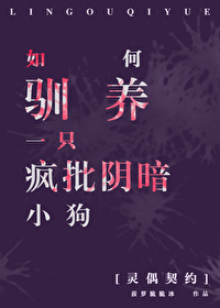 灵偶契约十条规则