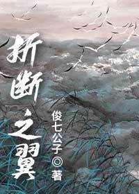 折断的羽翼