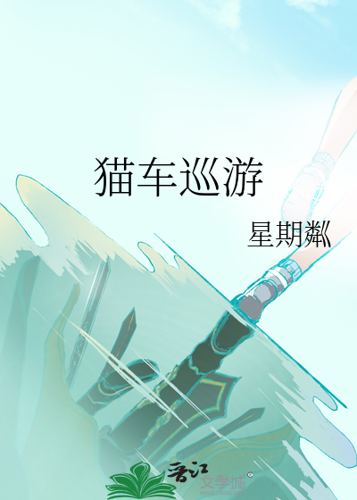 猫咪赛车