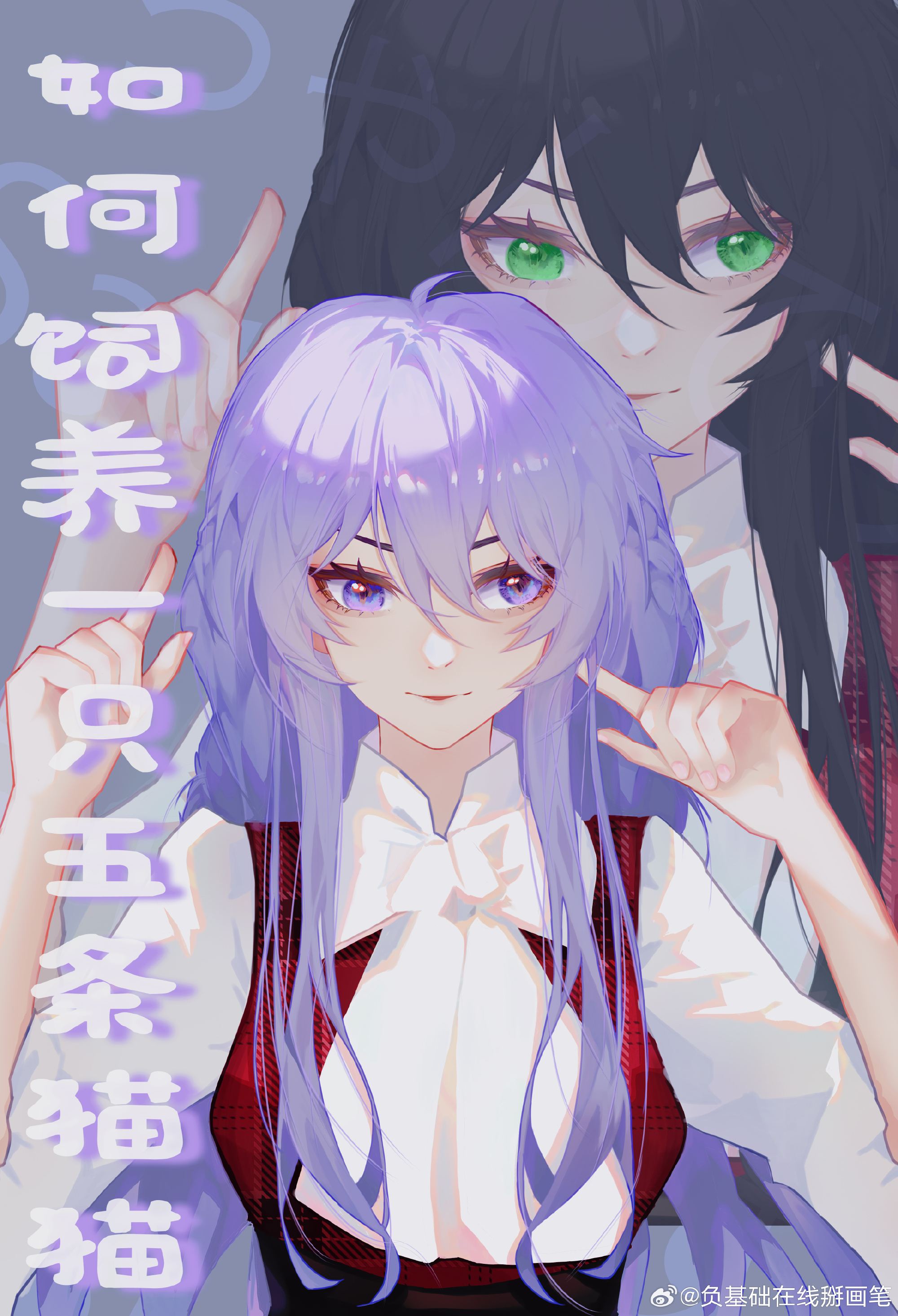养五只猫需要注意什么