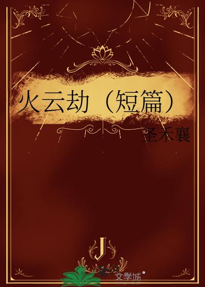 劫火风云小说