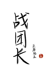 战团长模拟器