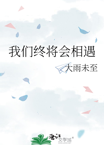 我们终将会相遇歌词