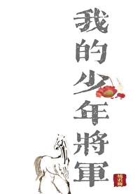 我的少年将军小说免费阅读