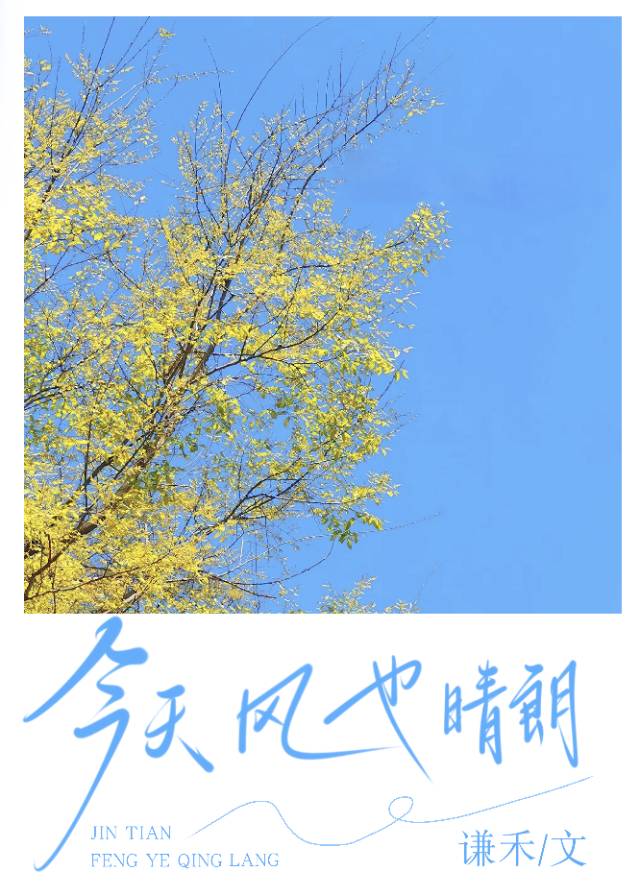 今天风也晴朗txt