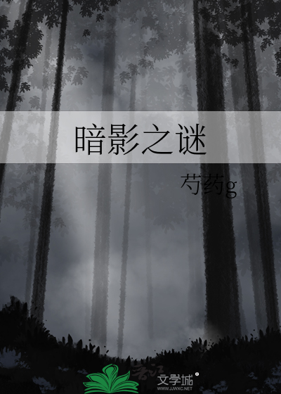 暗影之谜小说