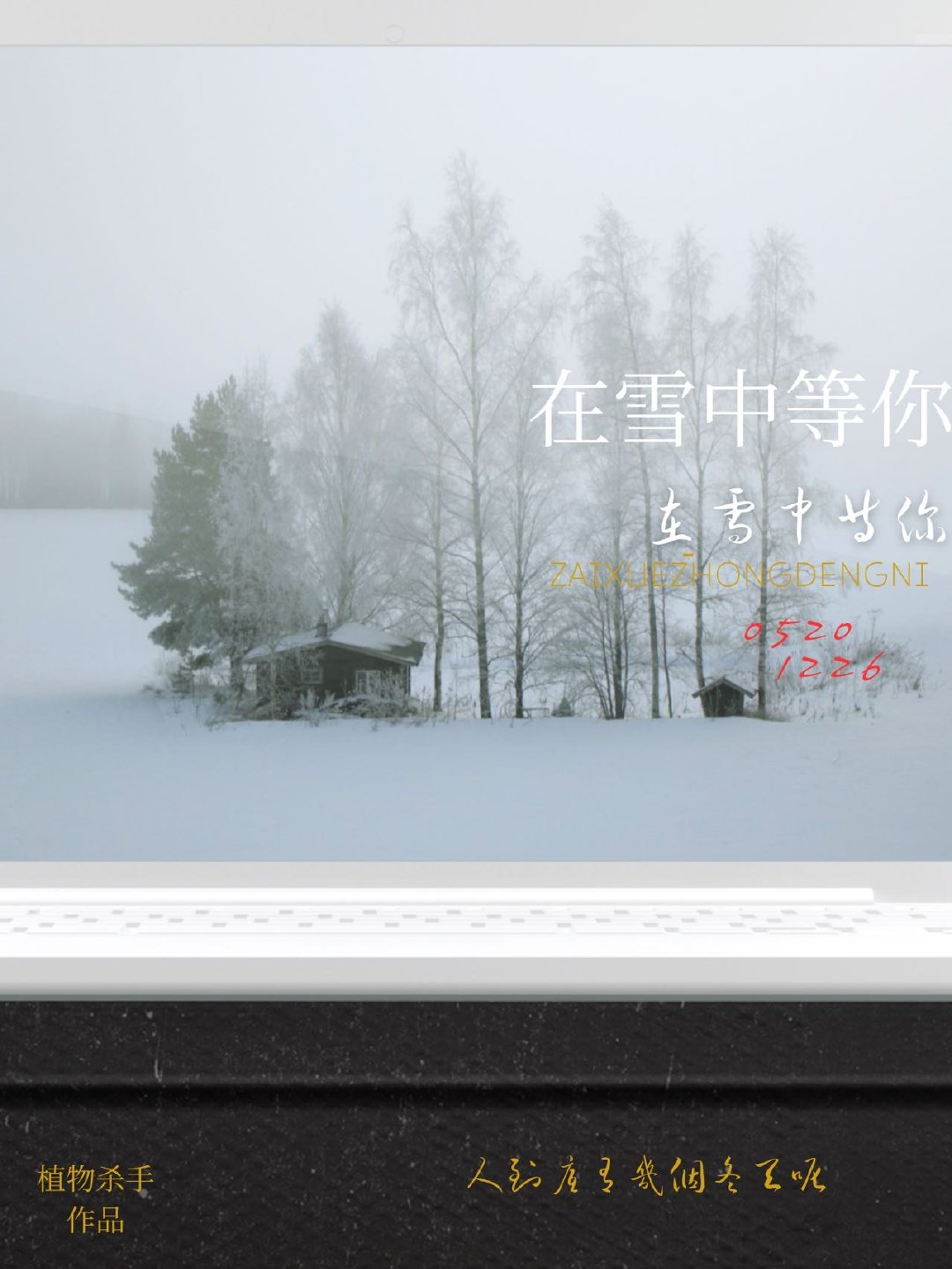 在雪中等你全文免费阅读番外
