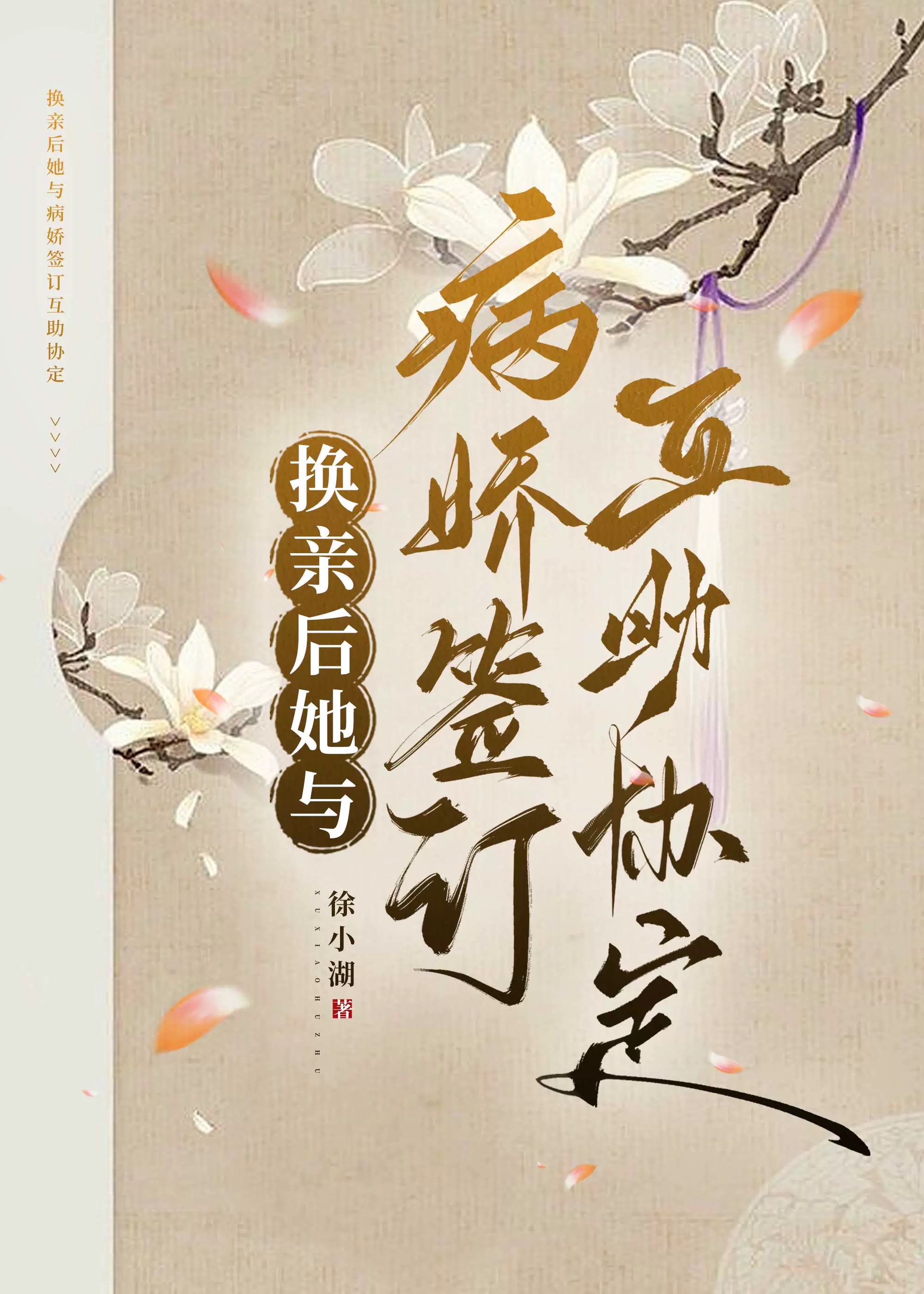 换亲后我成了亲姐姐的对组照格格党