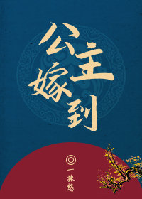 公主嫁到小说