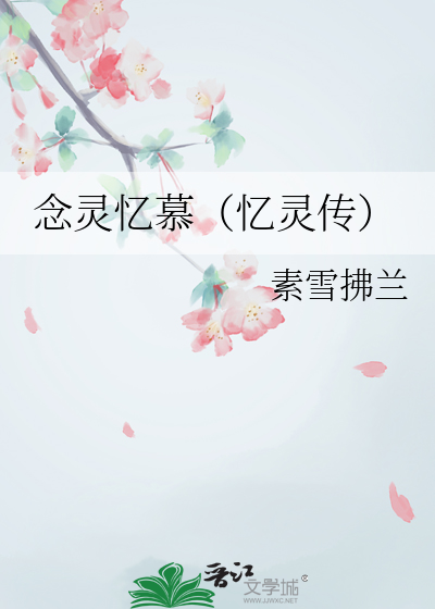 忆灵师 小说