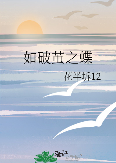 破茧成蝶之路