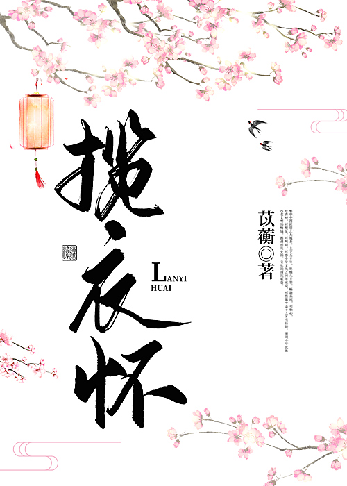 揽衣怀小说