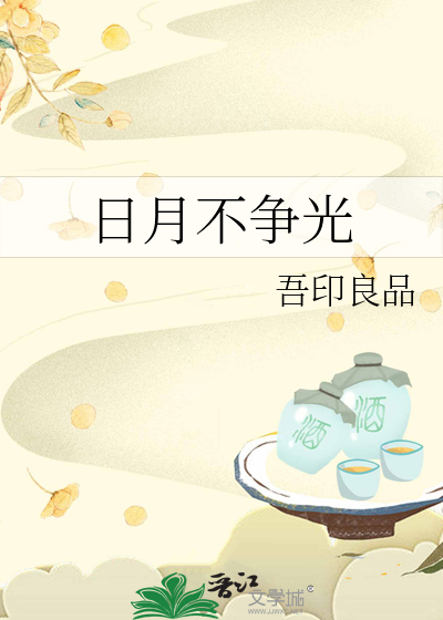 与日月争光可也