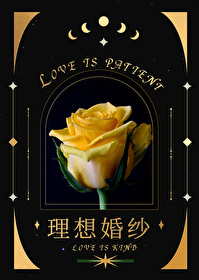 理想婚姻介绍所