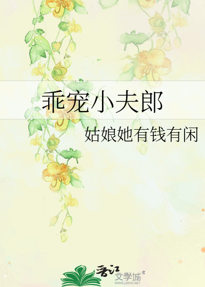 乖宠小夫郎讲的什么