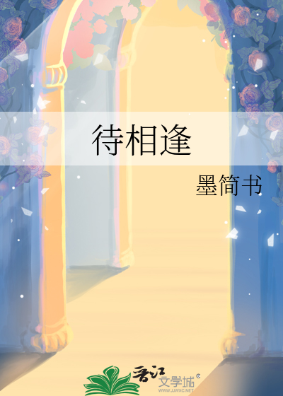 待相逢小说