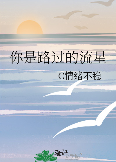 你是路过的流星歌词