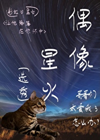 男团选秀节目有哪些小说